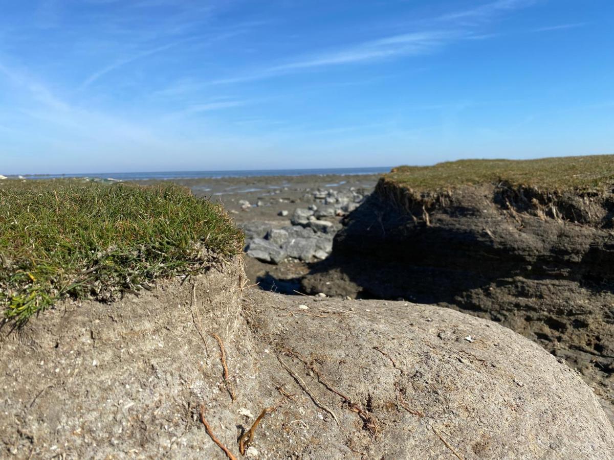 Wierums Huske Aan De Waddenzee Unesco Werelderfgoed 外观 照片