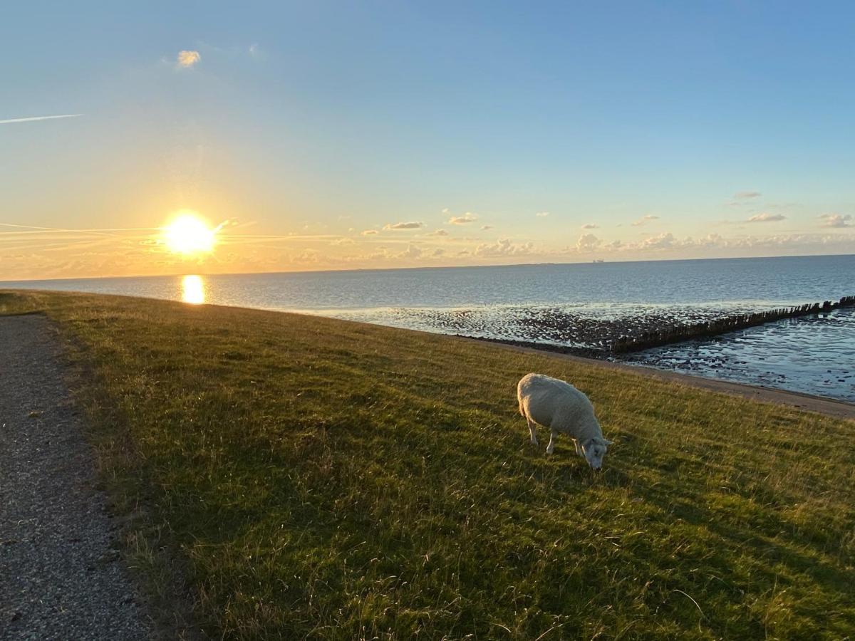 Wierums Huske Aan De Waddenzee Unesco Werelderfgoed 外观 照片