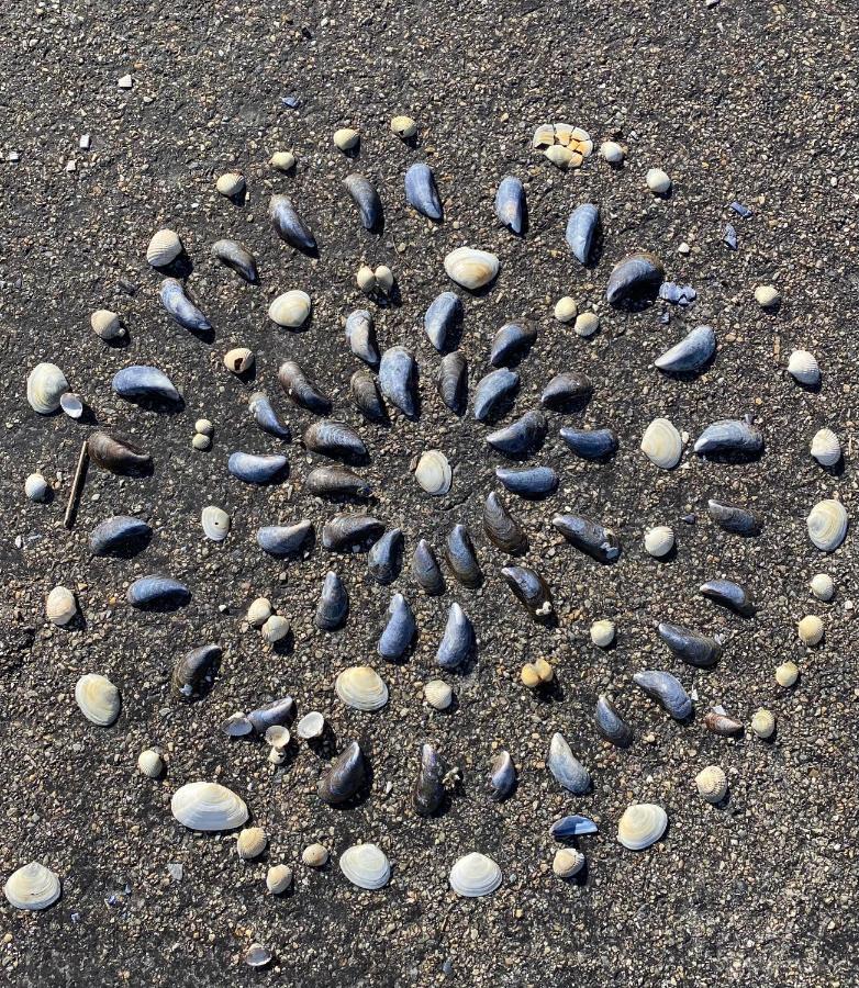 Wierums Huske Aan De Waddenzee Unesco Werelderfgoed 外观 照片